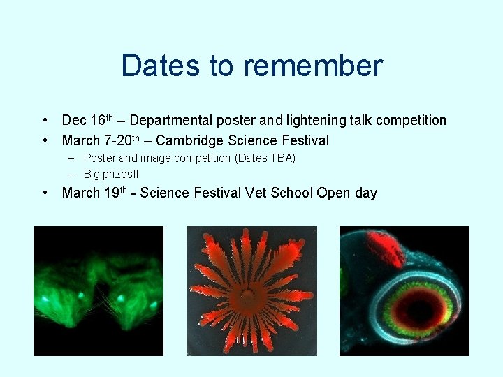 Dates to remember • Dec 16 th – Departmental poster and lightening talk competition Dates to remember • Dec 16 th – Departmental poster and lightening talk competition