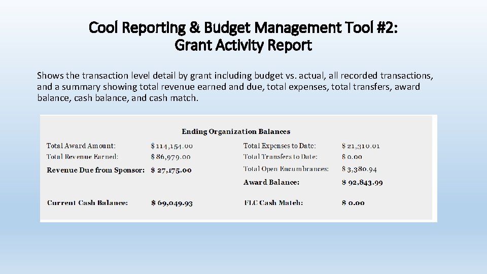 Cool Reporting & Budget Management Tool #2: Grant Activity Report Shows the transaction level
