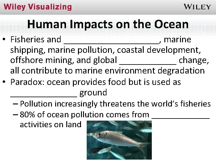 Human Impacts on the Ocean • Fisheries and __________, marine shipping, marine pollution, coastal