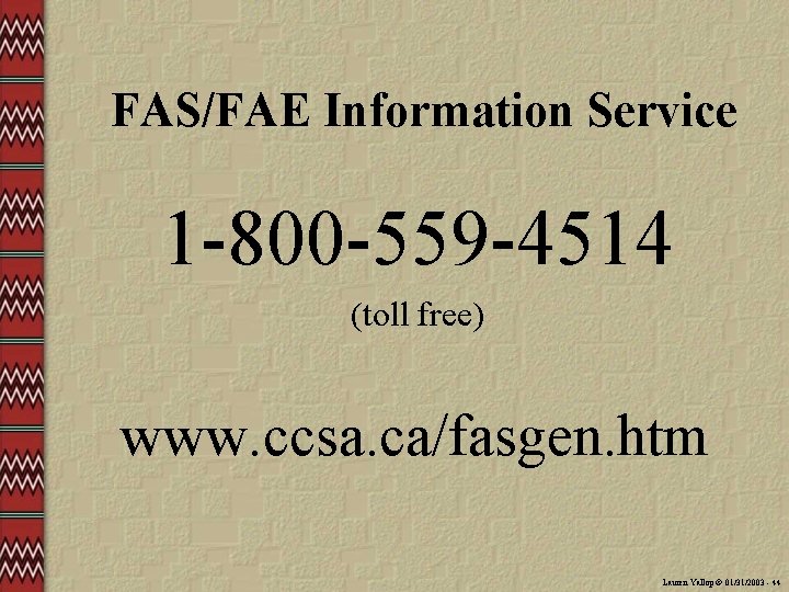 FAS/FAE Information Service 1 -800 -559 -4514 (toll free) www. ccsa. ca/fasgen. htm Lauren