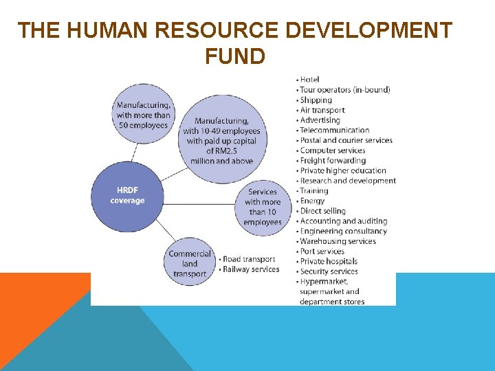 THE HUMAN RESOURCE DEVELOPMENT FUND 