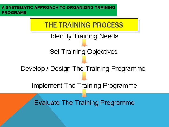 A SYSTEMATIC APPROACH TO ORGANIZING TRAINING PROGRAMS THE TRAINING PROCESS Identify Training Needs Set