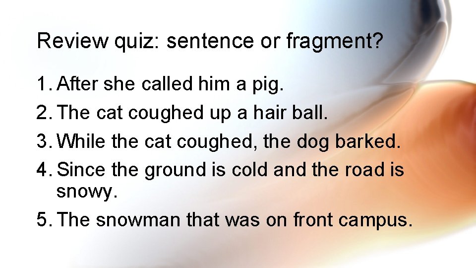 Review quiz: sentence or fragment? 1. After she called him a pig. 2. The