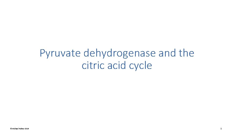 Pyruvate dehydrogenase and the citric acid cycle © Michael Palmer 2019 1 