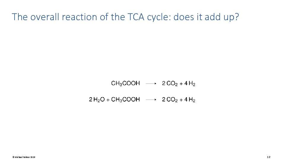 The overall reaction of the TCA cycle: does it add up? © Michael Palmer