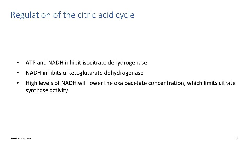 Regulation of the citric acid cycle • ATP and NADH inhibit isocitrate dehydrogenase •