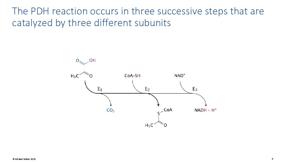 The PDH reaction occurs in three successive steps that are catalyzed by three different