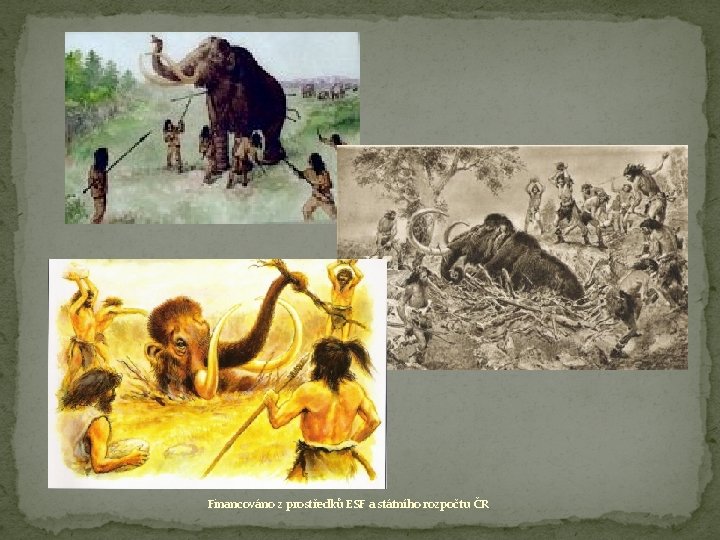 Financováno z prostředků ESF a státního rozpočtu ČR 