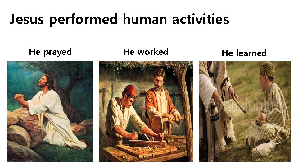 Jesus performed human activities He prayed He worked He learned 