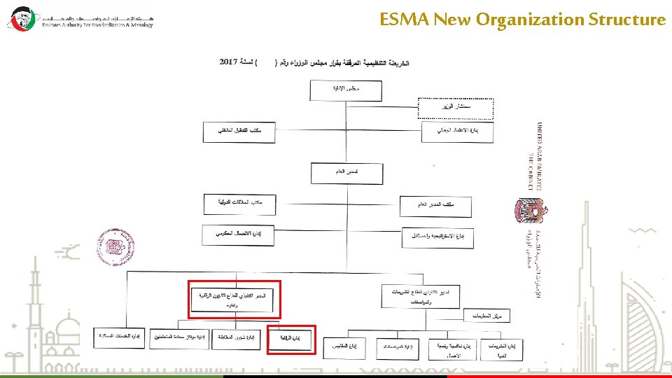ESMA New Organization Structure  