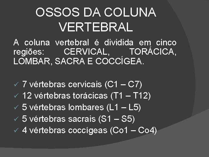 OSSOS DA COLUNA VERTEBRAL A coluna vertebral é dividida em cinco regiões: CERVICAL, TORÁCICA,