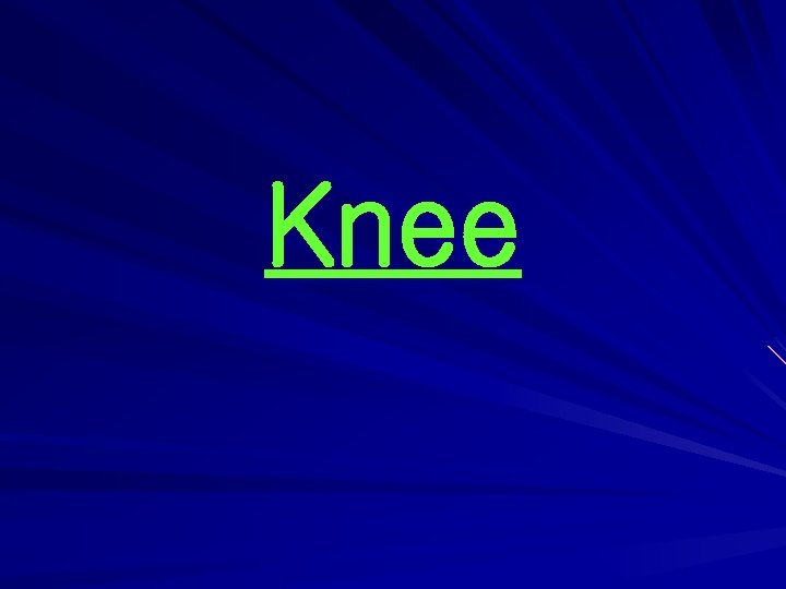 Knee 