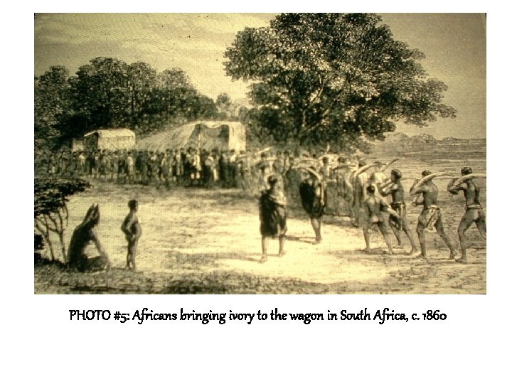 PHOTO #5: Africans bringing ivory to the wagon in South Africa, c. 1860 