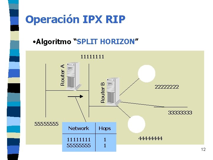 Operación IPX RIP • Algoritmo “SPLIT HORIZON” Router B Router A 1111 2222 3333 Operación IPX RIP • Algoritmo “SPLIT HORIZON” Router B Router A 1111 2222 3333