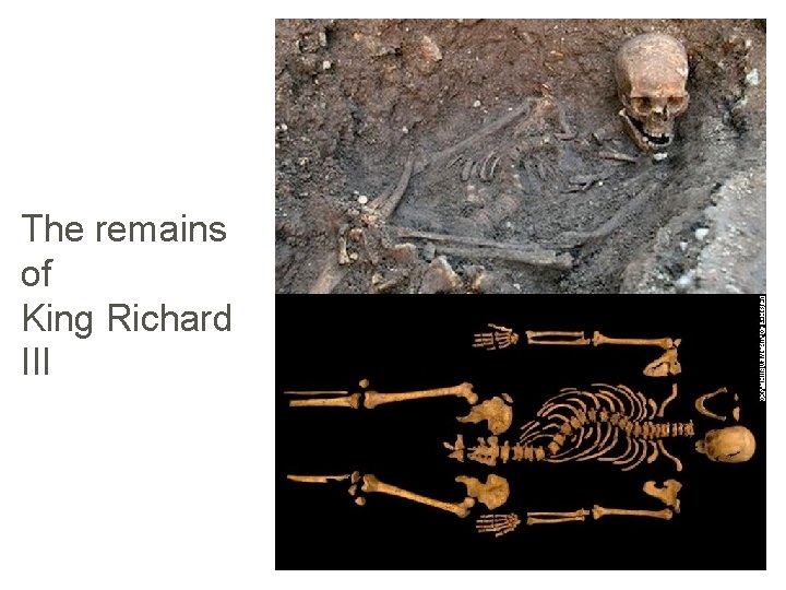The remains of King Richard III 
