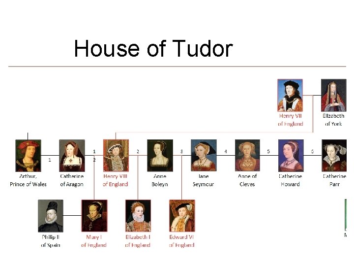 House of Tudor 