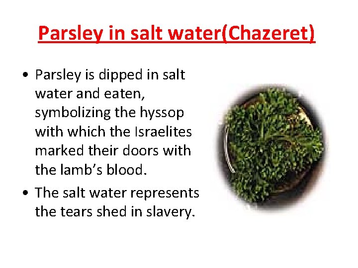 Parsley in salt water(Chazeret) • Parsley is dipped in salt water and eaten, symbolizing