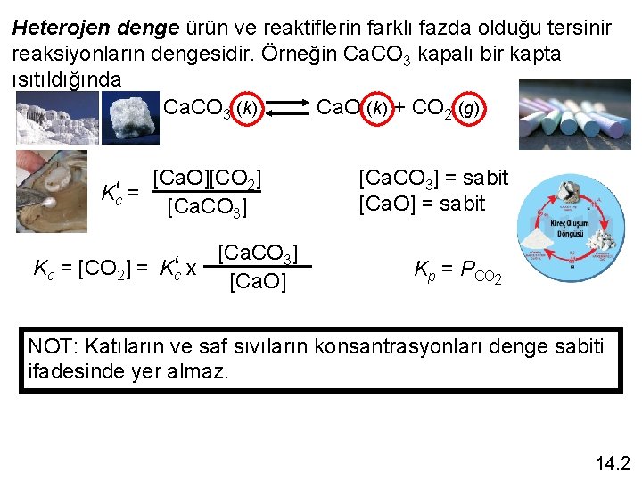 Heterojen denge ürün ve reaktiflerin farklı fazda olduğu tersinir reaksiyonların dengesidir. Örneğin Ca. CO