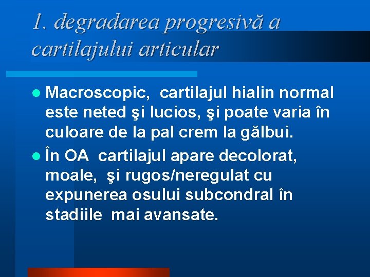 1. degradarea progresivă a cartilajului articular l Macroscopic, cartilajul hialin normal este neted şi