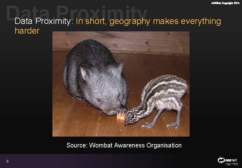 AARNet Copyright 2014 Data Proximity: In short, geography makes everything harder Source: Wombat Awareness AARNet Copyright 2014 Data Proximity: In short, geography makes everything harder Source: Wombat Awareness