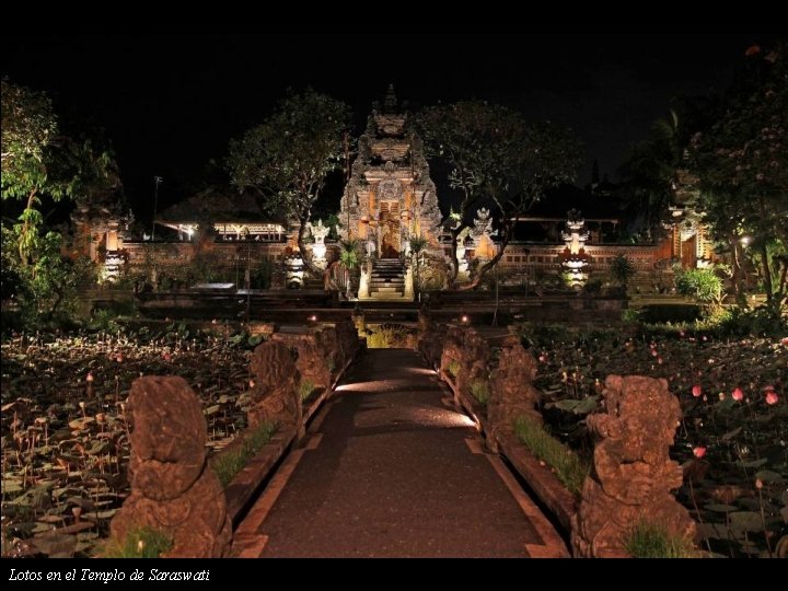 Lotos en el Templo de Saraswati 