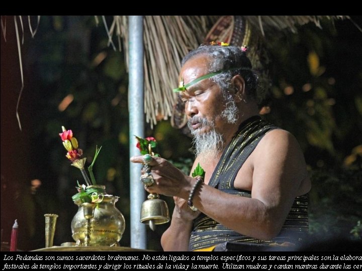 Los Pedandas son sumos sacerdotes brahmanes. No están ligados a templos específicos y sus