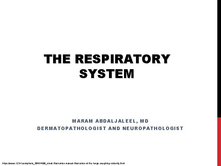THE RESPIRATORY SYSTEM MARAM ABDALJALEEL, MD DERMATOPATHOLOGIST AND NEUROPATHOLOGIST https: //www. 123 rf. com/photo_38644498_stock-illustration-mascot-illustration-of-the-lungs-coughing-violently.