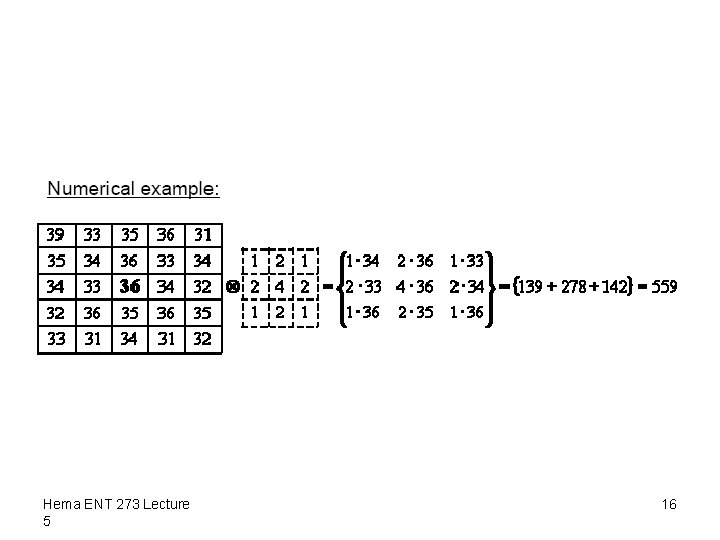 Hema ENT 273 Lecture 5 16 