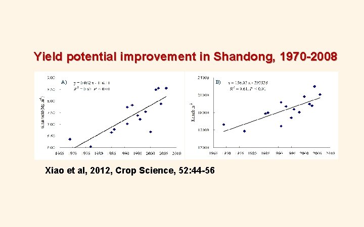 Yield potential improvement in Shandong, 1970 -2008 A) Xiao et al, 2012, Crop Science, Yield potential improvement in Shandong, 1970 -2008 A) Xiao et al, 2012, Crop Science,