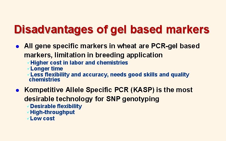 Disadvantages of gel based markers l All gene specific markers in wheat are PCR-gel Disadvantages of gel based markers l All gene specific markers in wheat are PCR-gel