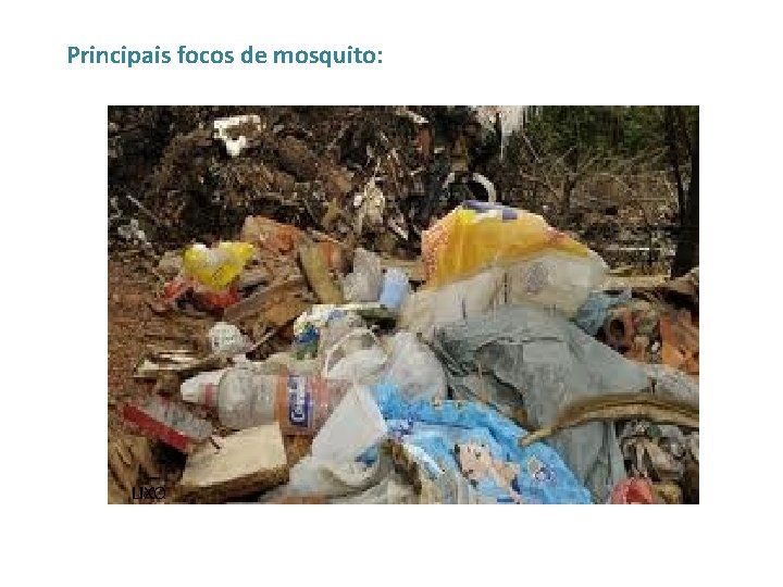 Principais focos de mosquito: LIXO 