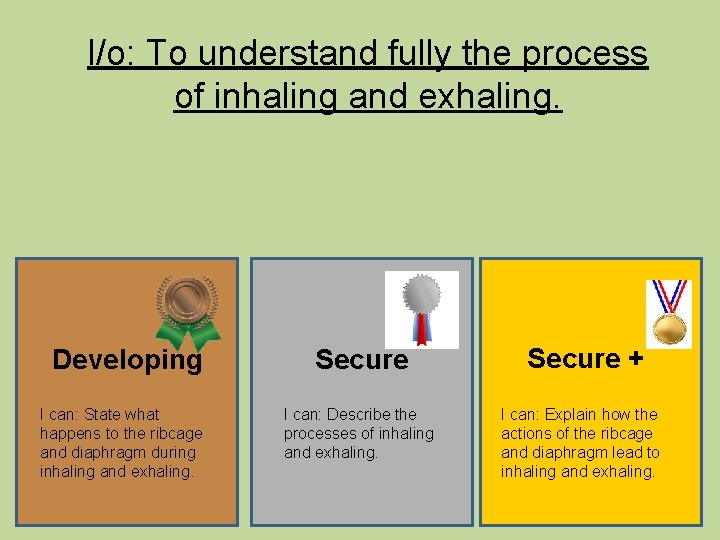 l/o: To understand fully the process of inhaling and exhaling. Developing I can: State