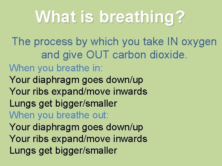 What is breathing? The process by which you take IN oxygen and give OUT