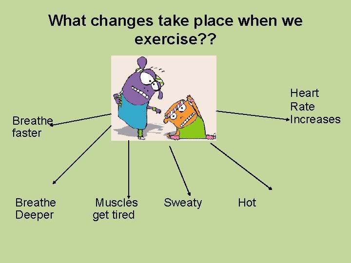 What changes take place when we exercise? ? Breathe faster Breathe Muscles Sweaty Hot