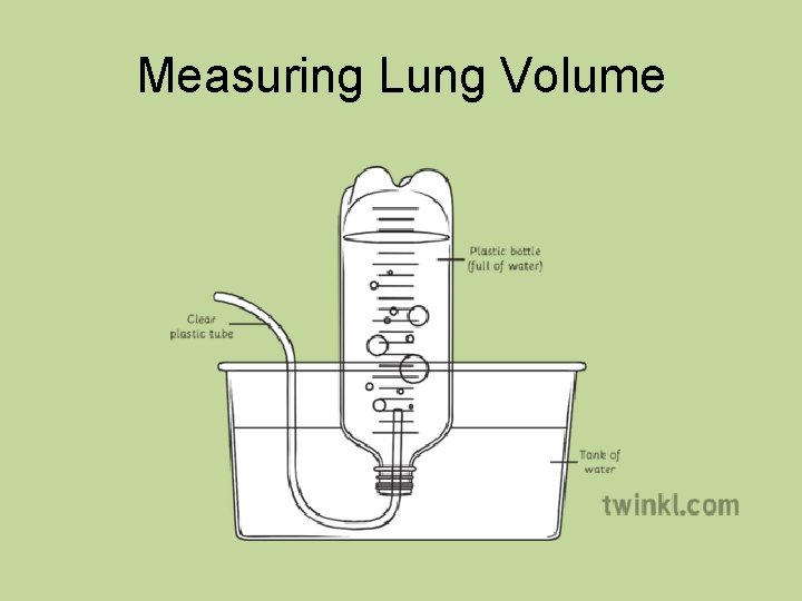 Measuring Lung Volume 