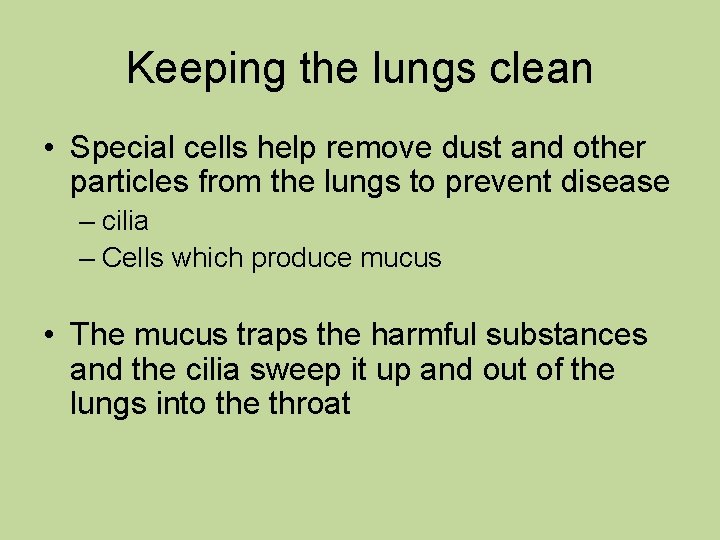 Keeping the lungs clean • Special cells help remove dust and other particles from