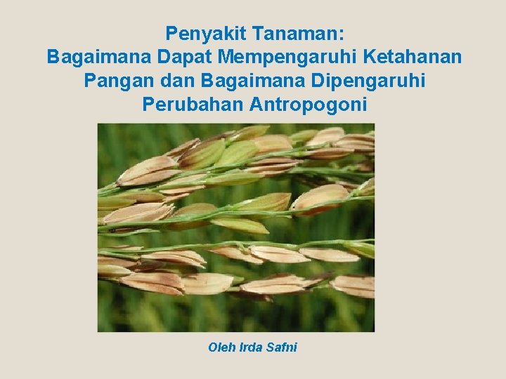Penyakit Tanaman: Bagaimana Dapat Mempengaruhi Ketahanan Pangan dan Bagaimana Dipengaruhi Perubahan Antropogoni Oleh Irda