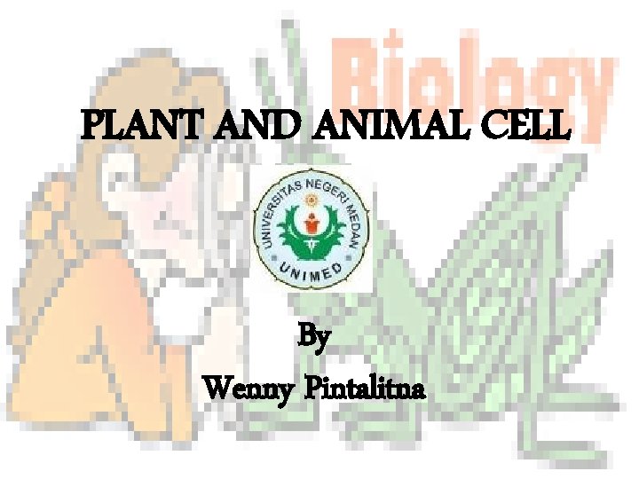 PLANT AND ANIMAL CELL By Wenny Pintalitna 
