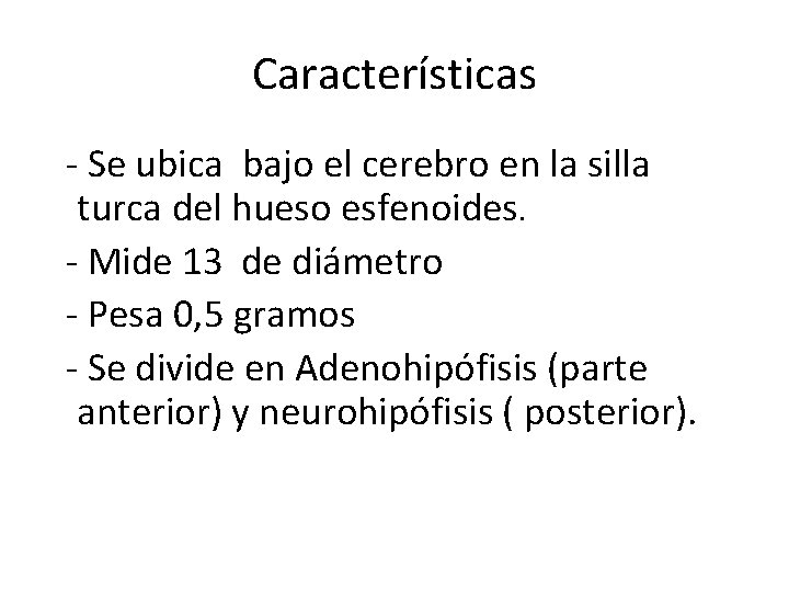 Características - Se ubica bajo el cerebro en la silla turca del hueso esfenoides. Características - Se ubica bajo el cerebro en la silla turca del hueso esfenoides.