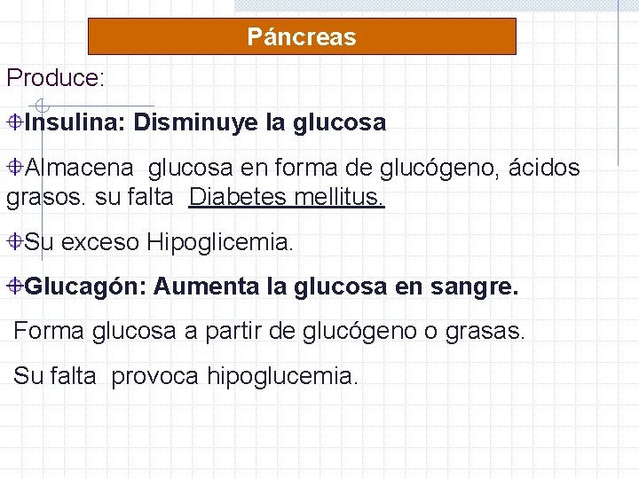 Páncreas Produce: Insulina: Disminuye la glucosa Almacena glucosa en forma de glucógeno, ácidos grasos. Páncreas Produce: Insulina: Disminuye la glucosa Almacena glucosa en forma de glucógeno, ácidos grasos.
