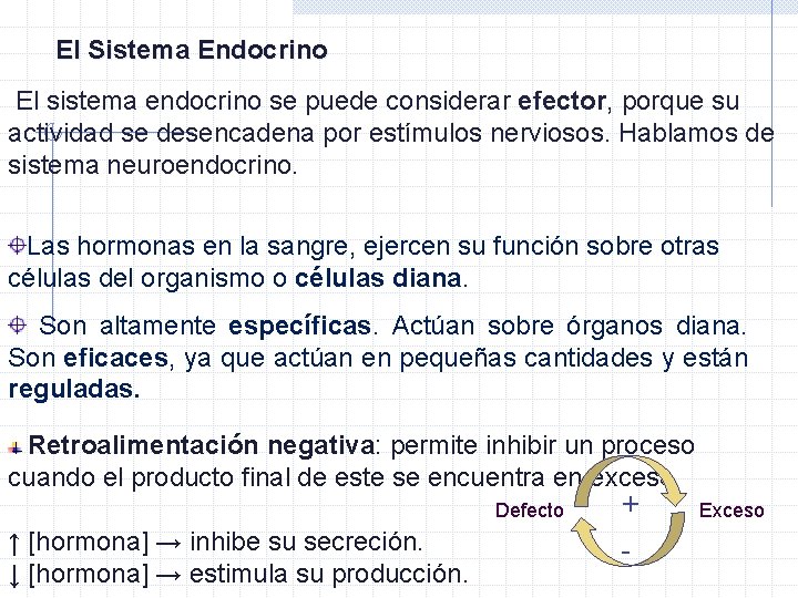 El Sistema Endocrino El sistema endocrino se puede considerar efector, porque su actividad se El Sistema Endocrino El sistema endocrino se puede considerar efector, porque su actividad se