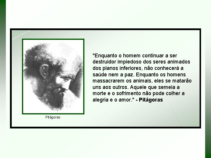 "Enquanto o homem continuar a ser destruidor impiedoso dos seres animados planos inferiores, não