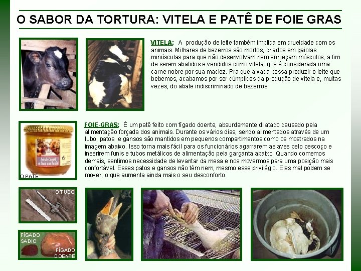 O SABOR DA TORTURA: VITELA E PATÊ DE FOIE GRAS VITELA: : A produção