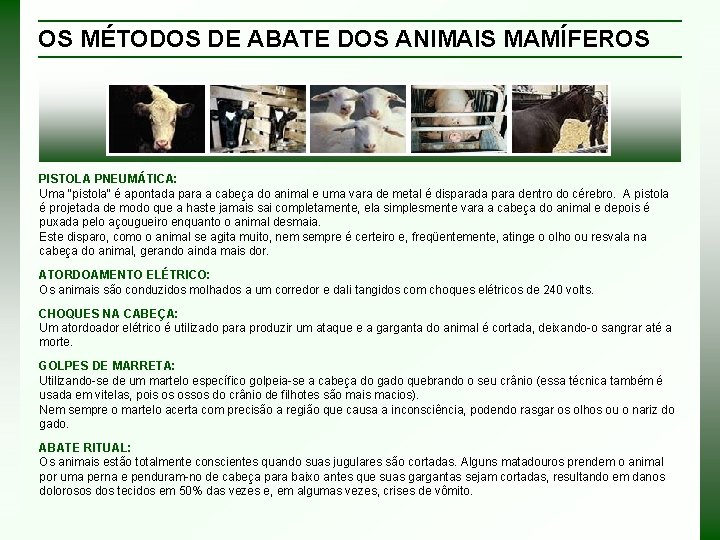 OS MÉTODOS DE ABATE DOS ANIMAIS MAMÍFEROS PISTOLA PNEUMÁTICA: Uma "pistola" é apontada para