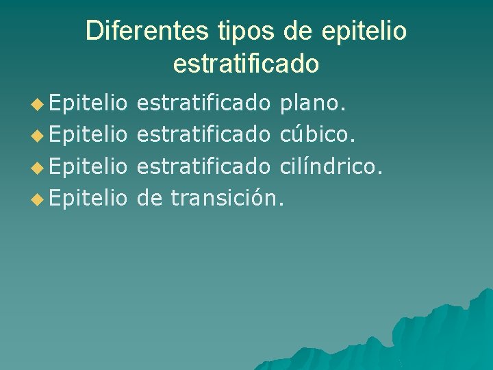 Diferentes tipos de epitelio estratificado u Epitelio estratificado plano. estratificado cúbico. estratificado cilíndrico. de
