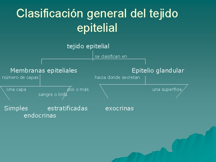 Clasificación general del tejido epitelial se clasifican en Membranas epiteliales número de capas Una