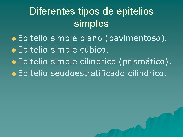 Diferentes tipos de epitelios simples u Epitelio simple plano (pavimentoso). simple cúbico. simple cilíndrico