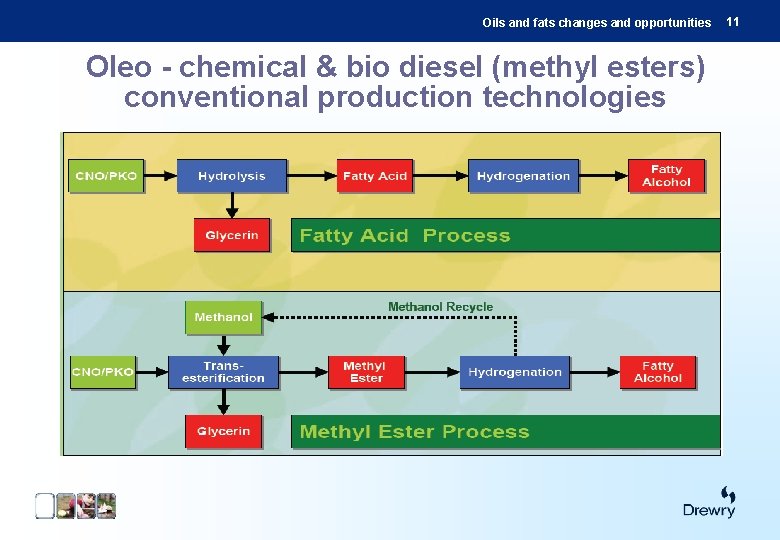 Oils and fats changes and opportunities Oleo - chemical & bio diesel (methyl esters)