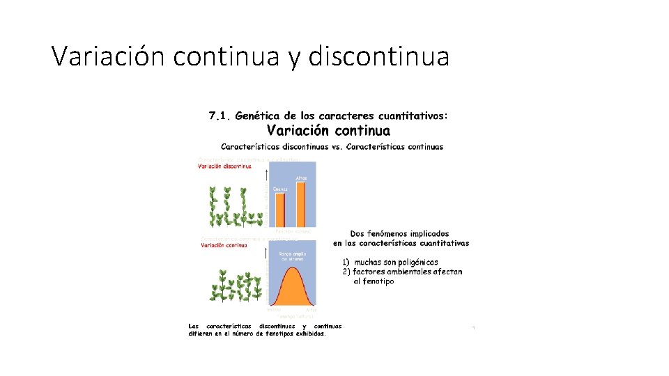 Variación continua y discontinua 