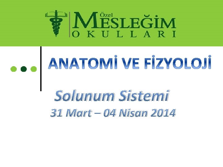 Solunum Sistemi 31 Mart – 04 Nisan 2014 